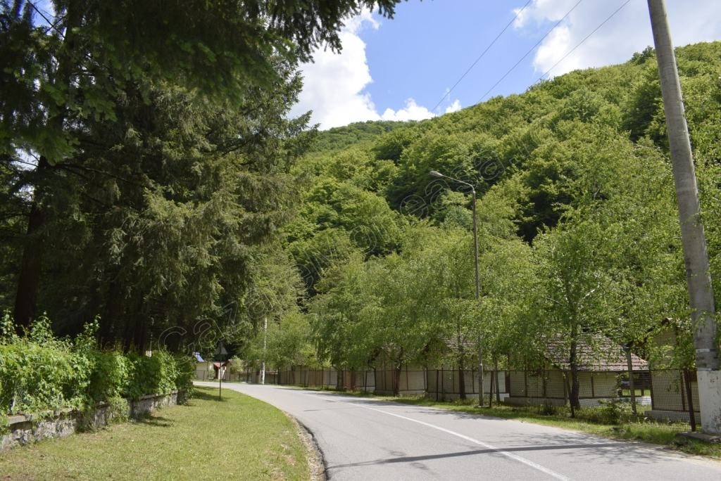 Soseaua din Statiunea Moneasa
