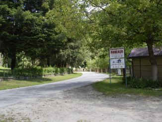 Statiunea Moneasa cazare